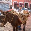 Central Colonial Mexico 2006