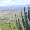 Cycling the Valleys of Oaxaca 2013