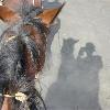 One way to explore Paricut&iacute;n volcano is by horse.