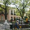 A garden in Morelia