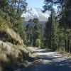 A view of the snow capped volcano on the way down.