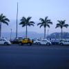 V-W bugs on the ocean front road in Acapulco.