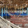 Hammocks as far as the eye can see.