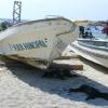 Letting sleeping dogs lie in the shade of fishing boats at Playa Principal in Puerto Escondido.