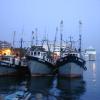 Some ships in Acapulco harbour.