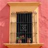 A window in colonial Oaxaca