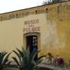 Outside the pulque museum