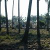 A cemetary on the walk to the beach from La Placita.