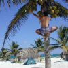 Coconut anyone?